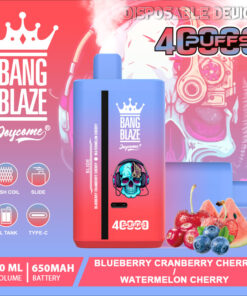 A colorful disposable vape device labeled 'Bang Blaze' featuring a skull with headphones and surrounded by fruit illustrations including blueberries, cherries, and watermelon, with an emphasis on its capacity of 4000 puffs and a 650mAh battery.