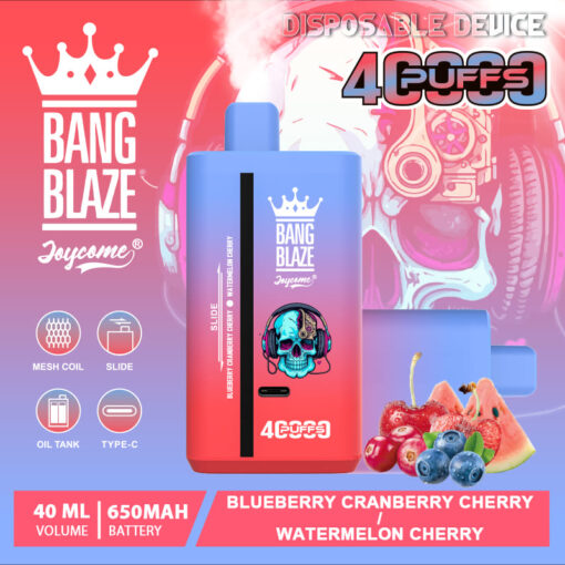 A colorful disposable vape device labeled 'Bang Blaze' featuring a skull with headphones and surrounded by fruit illustrations including blueberries, cherries, and watermelon, with an emphasis on its capacity of 4000 puffs and a 650mAh battery.