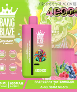 A vibrant disposable vape device labeled 'BANG BLAZE' featuring a pink and green gradient design, with illustrations of fruit and a skull, indicating flavors like raspberry watermelon and aloe vera grape, and showing technical details such as a 40ml volume and 650mAh battery capacity.