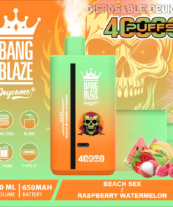 A brightly colored disposable vape device labeled 'Bang Blaze' with a gradient orange and green design, featuring icons for mesh coil, oil tank, and charging, along with graphic elements of fruit slices including watermelon and raspberries, set against a vibrant background with a skull motif.