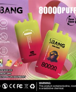 Eine farbenfrohe Vape-Pen-Verpackung mit der Aufschrift „S.BANG BANG LEADER“ mit dem Text „80000 PUFFS“ und Symbolen, die auf Typ-C-Laden und Dual-Mesh-Technologie hinweisen, sowie Geschmacksoptionen: Avocado-Eis, Zitrone-Limette und Wassermelone-Himbeere.