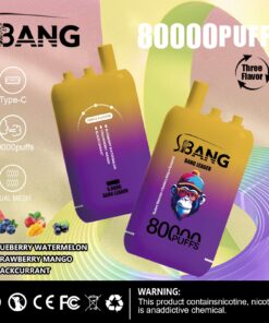 Werbegrafik für die Einweg-E-Zigarette von SBANG mit einem Gerät in Farbverlaufsfarbe und der Aufschrift „80000 PUFFS“, das Aromen wie Blaubeere-Wassermelone, Erdbeer-Mango und Schwarze Johannisbeere hervorhebt und Symbole für das Laden über Typ C und die Dual-Mesh-Technologie enthält.