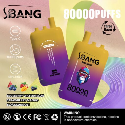 Werbegrafik für die Einweg-E-Zigarette von SBANG mit einem Gerät in Farbverlaufsfarbe und der Aufschrift „80000 PUFFS“, das Aromen wie Blaubeere-Wassermelone, Erdbeer-Mango und Schwarze Johannisbeere hervorhebt und Symbole für das Laden über Typ C und die Dual-Mesh-Technologie enthält.