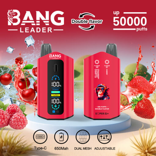 Appareil de vapotage à double saveur Red Bang Leader avec affichage numérique, comprenant des images de baies, de cerises, de glaçons et des icônes pour la charge de type C, une batterie de 650 mAh, une double maille et des paramètres réglables.