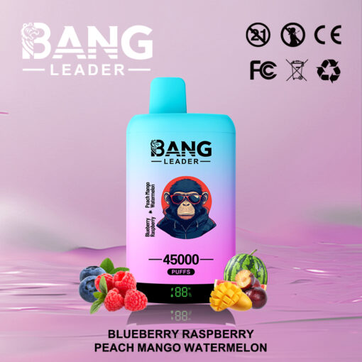 Appareil de vapotage coloré Bang Leader représentant un personnage de dessin animé, entouré d'illustrations de myrtilles, de framboises, de pêche, de mangue et de pastèque, avec les détails du produit et les noms des saveurs affichés.