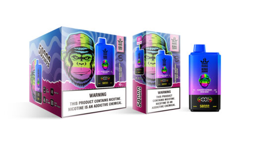 Eine Schachtel Einweg-Vaporizer von Bang King mit Blaubeer-Himbeer-Beerenmix-Geschmack, buntem Gorilla-Design und einer Nikotinwarnung.
