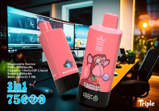 Ein rosafarbenes Einweg-Vaporizer-Gerät mit den Geschmacksrichtungen „Blue Razz Ice“ und „Strawberry Watermelon“ und einer Batterieanzeige auf der Vorderseite vor dem unscharfen Hintergrund eines modernen Arbeitsplatzes mit einem Computermonitor.