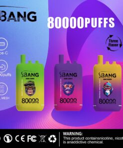 Drei farbenfrohe Vape-Geräte der Marke S-BANG mit der Aufschrift „80000puffs“ in Grün, Lila und Pink mit Symbolen für Typ-C-Laden und Dual-Mesh-Technologie vor einem lebendigen Hintergrund mit Farbverlauf und einem Warnhinweis am unteren Rand.