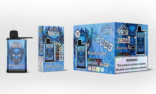 Ein Einweg-Vape-Gerät und seine Verpackung, die ein blaues Design mit einer Totenkopfgrafik aufweist, mit der Aufschrift „Blueberry Ice“ und der Angabe, dass es 280 Züge abgeben kann. Die Verpackung enthält eine Warnung vor Nikotin und erwähnt, dass sie 10 Stück enthält.