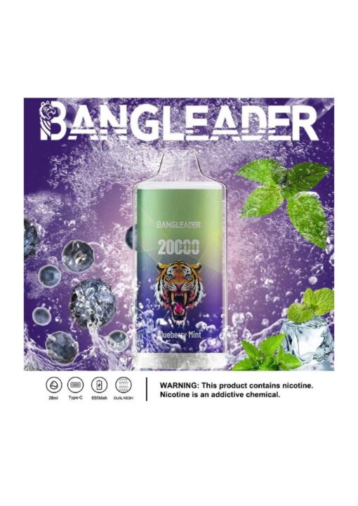 Un vaporisateur coloré étiqueté « BANGLEADER » avec un logo de tigre, présentant un design vert et violet et la saveur « Blueberry Mint », entouré d'éclaboussures d'eau et de feuilles de menthe, et un avertissement concernant la nicotine en bas.