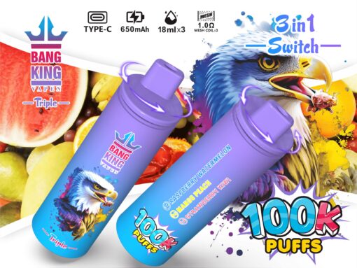 A colorful vape pen featuring the 'Bang King Vapen' logo, with vibrant graphics of an eagle and fruit, surrounded by images of watermelon and various fruits, emphasizing features like '3 in 1 Switch' and '100K Puffs' with detailed flavor options such as Raspberry Watermelon and Mango Peach.