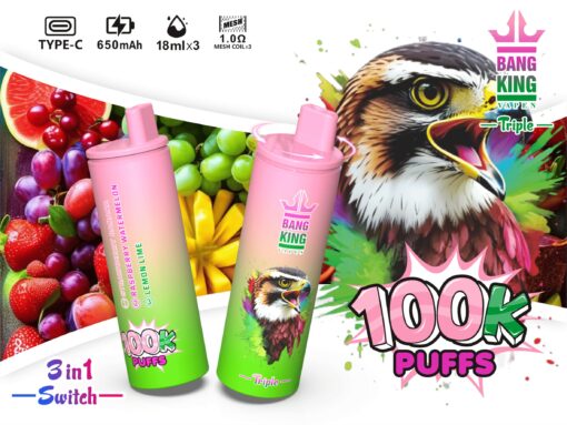 A vibrant vape product from Bang King, featuring two colorful devices with flavors labeled as Strawberry Banana, Raspberry Watermelon, and Lemon Lime, set against a backdrop of assorted fruits and an artistic depiction of a bird, highlighting the '100K Puffs' tagline.