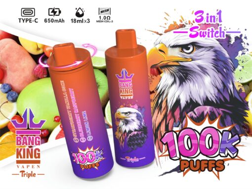 Two colorful vape products labeled 'Bang King Vapen Triple,' featuring flavors like strawberry vanilla and blueberry raspberry, set against a vibrant fruit backdrop with an eagle graphic, emphasizing '100k Puffs' and a '3 in 1 Switch' feature.