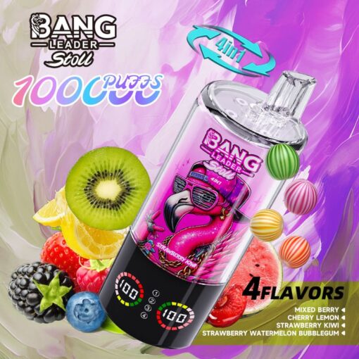 Bang Leader 100000 パフ 4-in-1 Vape – マルチフレーバー システム