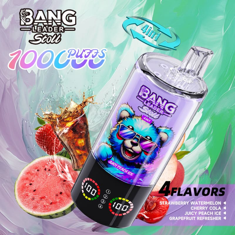 Bang Leader 100000 パフ 4-in-1 Vape – マルチフレーバー システム