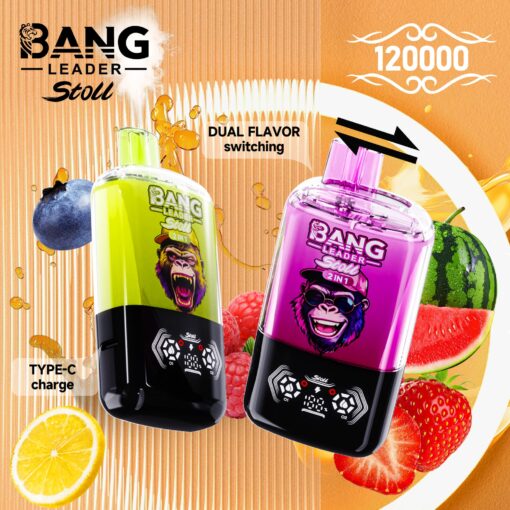 A colorful vaporizer device featuring a dual flavor switch function, with a green and black design on one side and a purple and black design on the other, surrounded by fruit illustrations like lemon, raspberry, and watermelon, indicating various flavors and a Type-C charging port at the bottom.