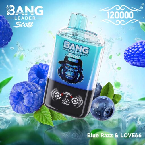 BangKingVape – Supreme Quality & Stylish Variety at Great Prices