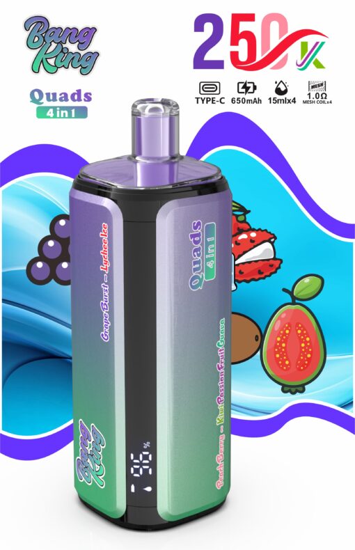 Bang King 250000 Puffs 4-in-1 Vape – Ultra High Capacity | Mesh