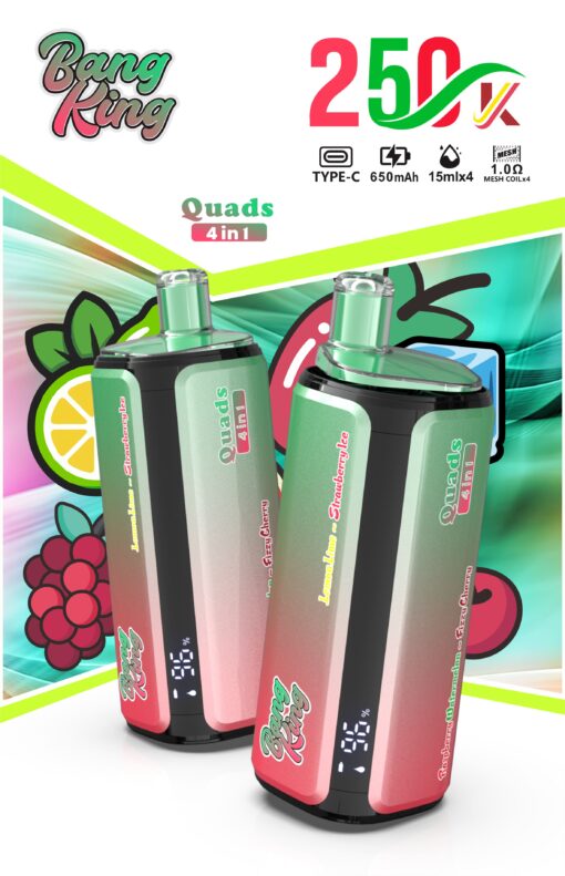 Bang King 250000 パフ 4-in-1 Vape – 超大容量 | メッシュコイル