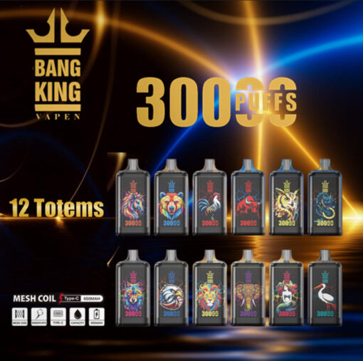 Un'immagine promozionale per Bang King Vapens che mostra “3000 Puffs” e 12 totem di bottiglie di vaporizzatore a bobina in rete disposte su due file, ciascuna con distinte illustrazioni colorate di draghi/animali su bottiglie scure.