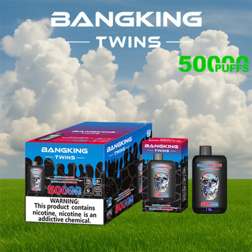 Ensemble d'emballage de vape jetable Bangking Twins 5000 Puff présenté sur un terrain herbeux avec un ciel bleu et des nuages, comprenant des boîtes et des bouteilles bleues et noires avec des graphismes de crâne et une étiquette d'avertissement de nicotine
