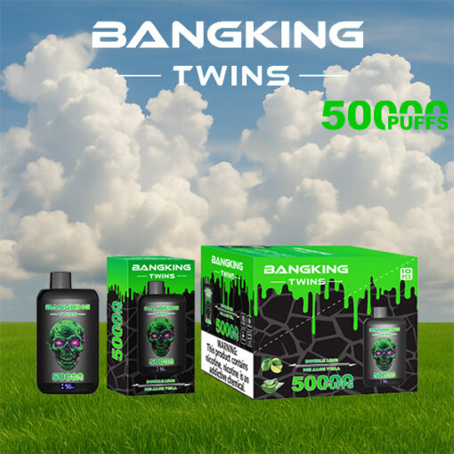Bangking Twins 5000 bouffées d'emballage et de bouteilles de vape jetables sur herbe verte avec fond de ciel bleu nuageux