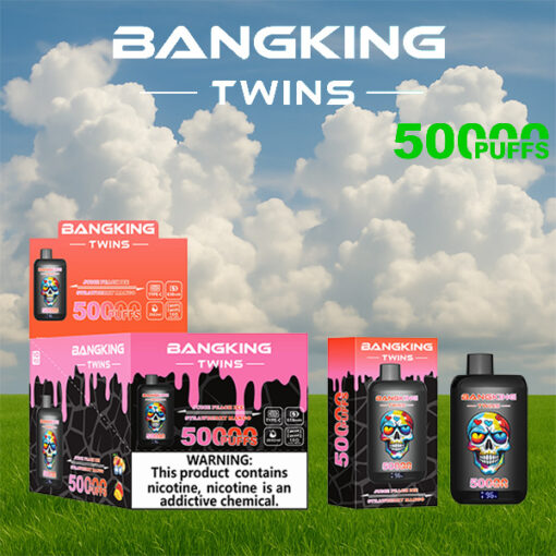 Gamme de produits de vapotage Bangking Twins de 5 000 bouffées affichée sur un champ herbeux avec un ciel bleu nuageux et une grande étiquette de 5 000 PUFFS en vert.