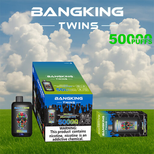 Emballage d'e-liquide Bangking Twins 500 Puff situé sur un champ herbeux avec un ciel bleu et des nuages, comprenant une bouteille noire, une boîte verte/bleue et un carton foncé plus petit.
