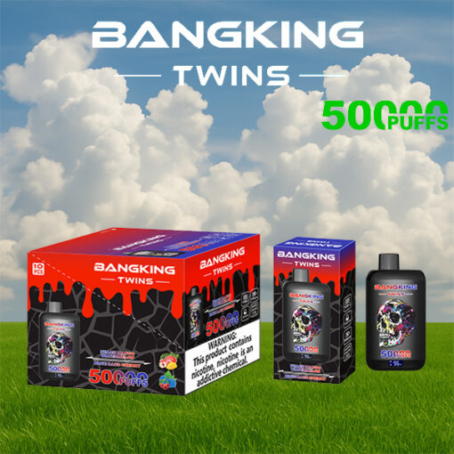 Boîtes et bouteilles de produits de vapotage Bangking Twins 500 PUFFS posées sur de l'herbe verte sur fond de ciel bleu nuageux, avec un logo blanc audacieux et un texte vert “ 500 PUFFS ”.