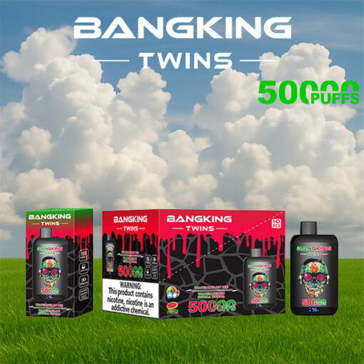 La gamme de produits de vape Bangking Twins 5000 PUFFS affichée sur de l'herbe verte avec des nuages ​​de ciel bleu ; comprend plusieurs boîtes colorées et une bouteille.