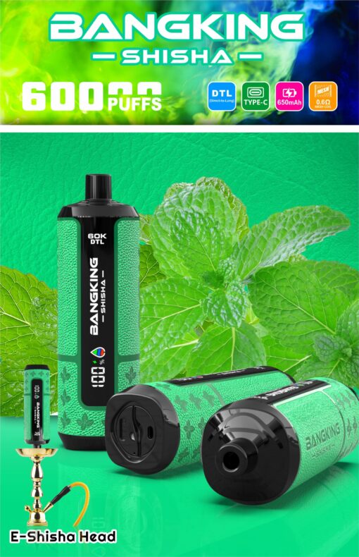 Bangking Shisha e‑shisha head device with mint leaves background, 6000 puffs, DTL, Type‑C, 650mAh battery icons displayed