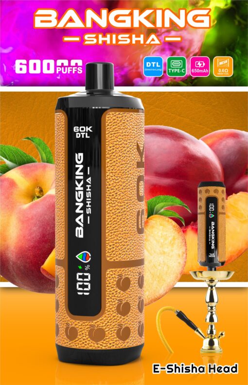 Bangking Shisha 600 puffs e-shisha head device with peach imagery and DTL, Type-C, 650mAh, 0.6Ω mesh coil icons